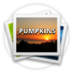 PUMPKINS